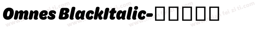 Omnes BlackItalic字体转换